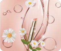 Hyacolor&#174;-LA 油分散透明质酸钠